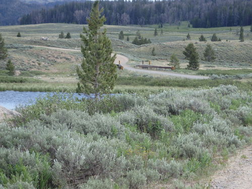 GDMBR: One of the ponds adjacent to Lake of the Woods.